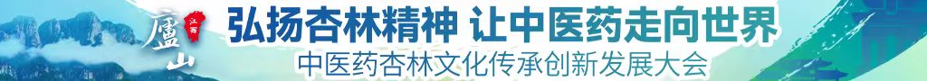 插入姐姐小骚b中医药杏林文化传承创新发展大会